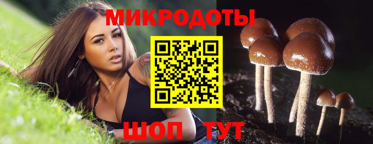 Псилоцибиновые грибы MAGIC MUSHROOMS  Вход с VPN  Северобайкальск  Псилоцибиновые грибы мухоморы 